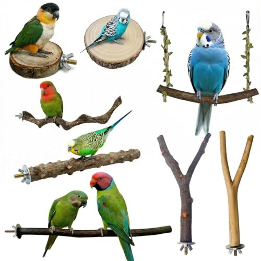Health & Wellness Là Gì - 8PCS natural wood bird perches for