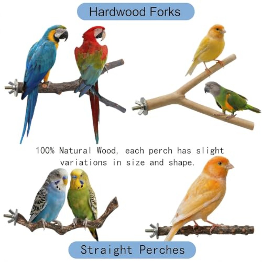 8PCS natural wood bird perches - Health & Wellness Là Gì 评论和价格