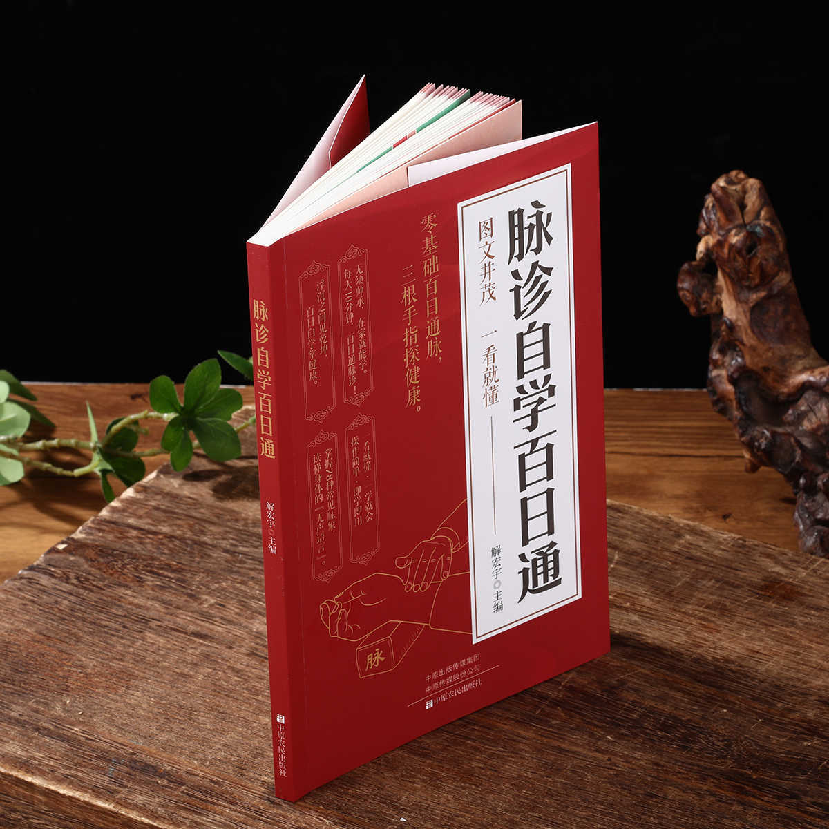 Pulse Diagnosis Self Study Hun - Health & Wellness Là Gì 评论和价格